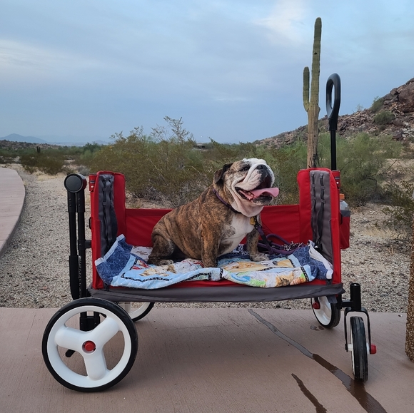 Meet your Posher, Alfredo - Picture 5 of 8